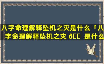八字命理解释坠机之灾是什么「八字命理解释坠机之灾 🐠 是什么原 🐘 因」